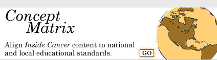 Concept Standards Matrix